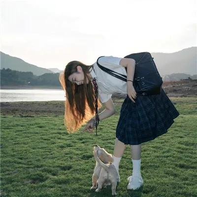 红色康拜因